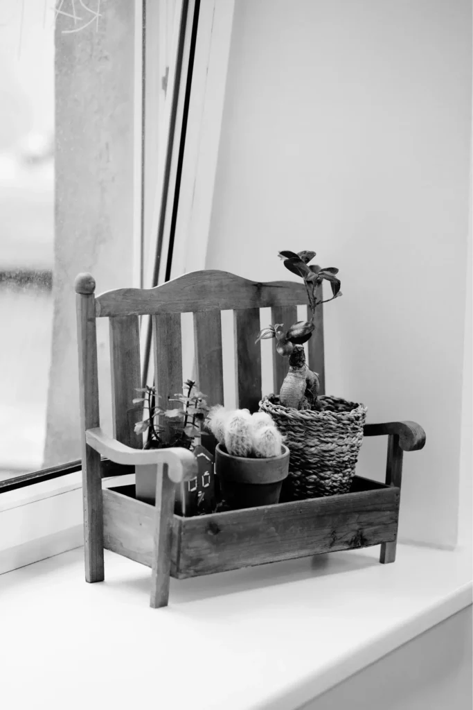 Kintantys studijos akcentai